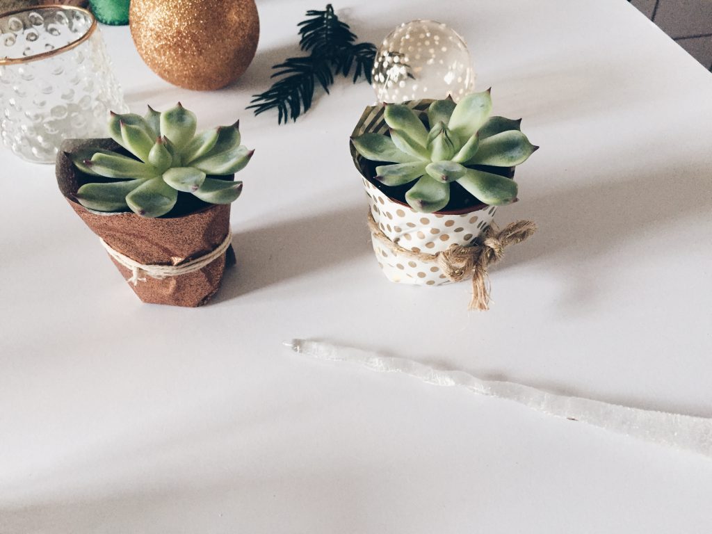 DIY last minute christmas decor ideas - the iwrapped plant