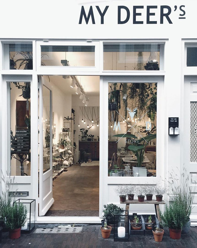 Coolest boutique my deer's store in Haarlem. Perfect for gift shopping or decor gems