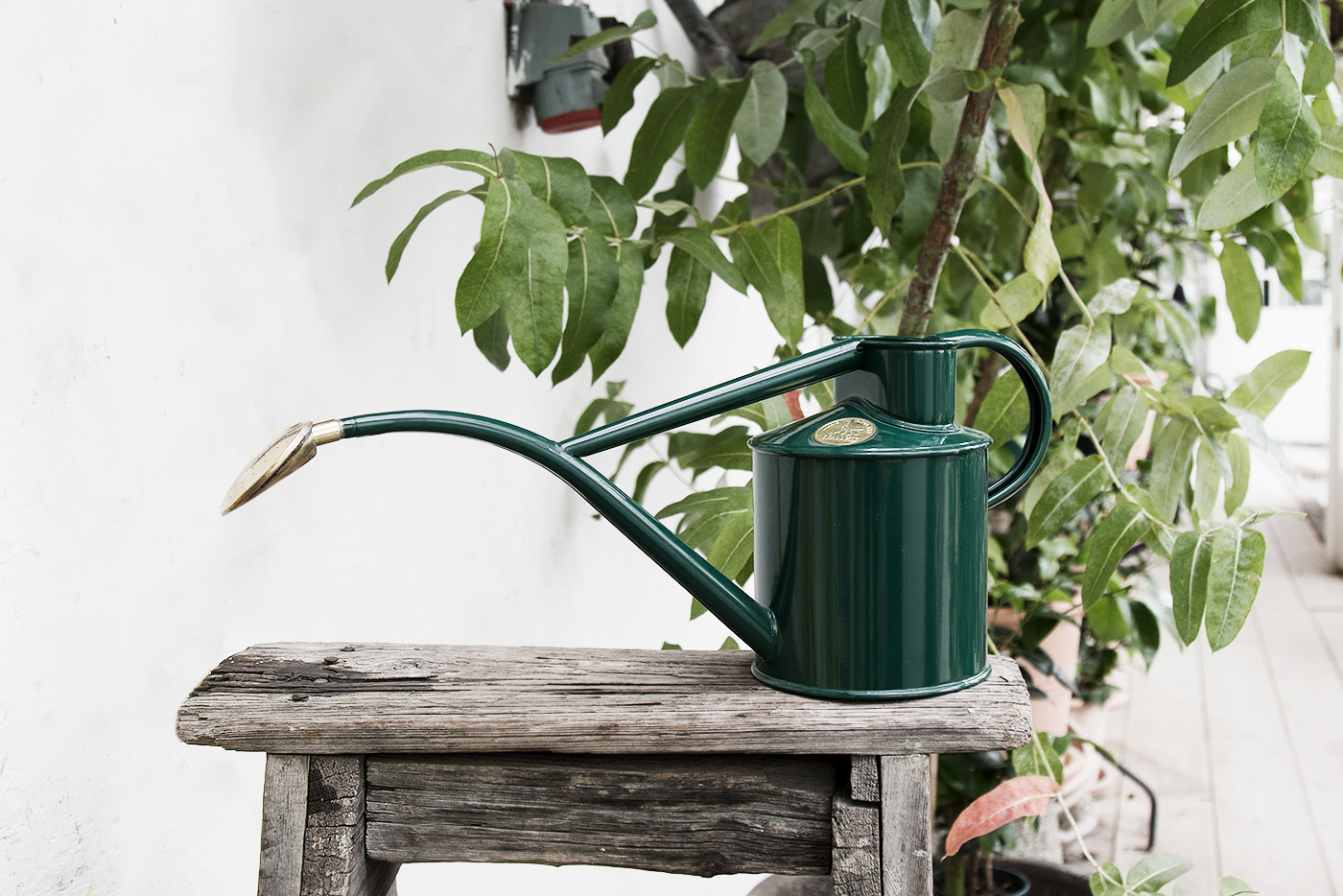 Beautiful objects for the not so green thumbs that will make them want to start gardening