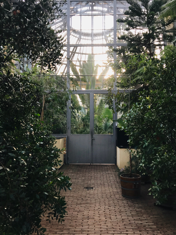 a weekend in Amsterdam botanical garden
